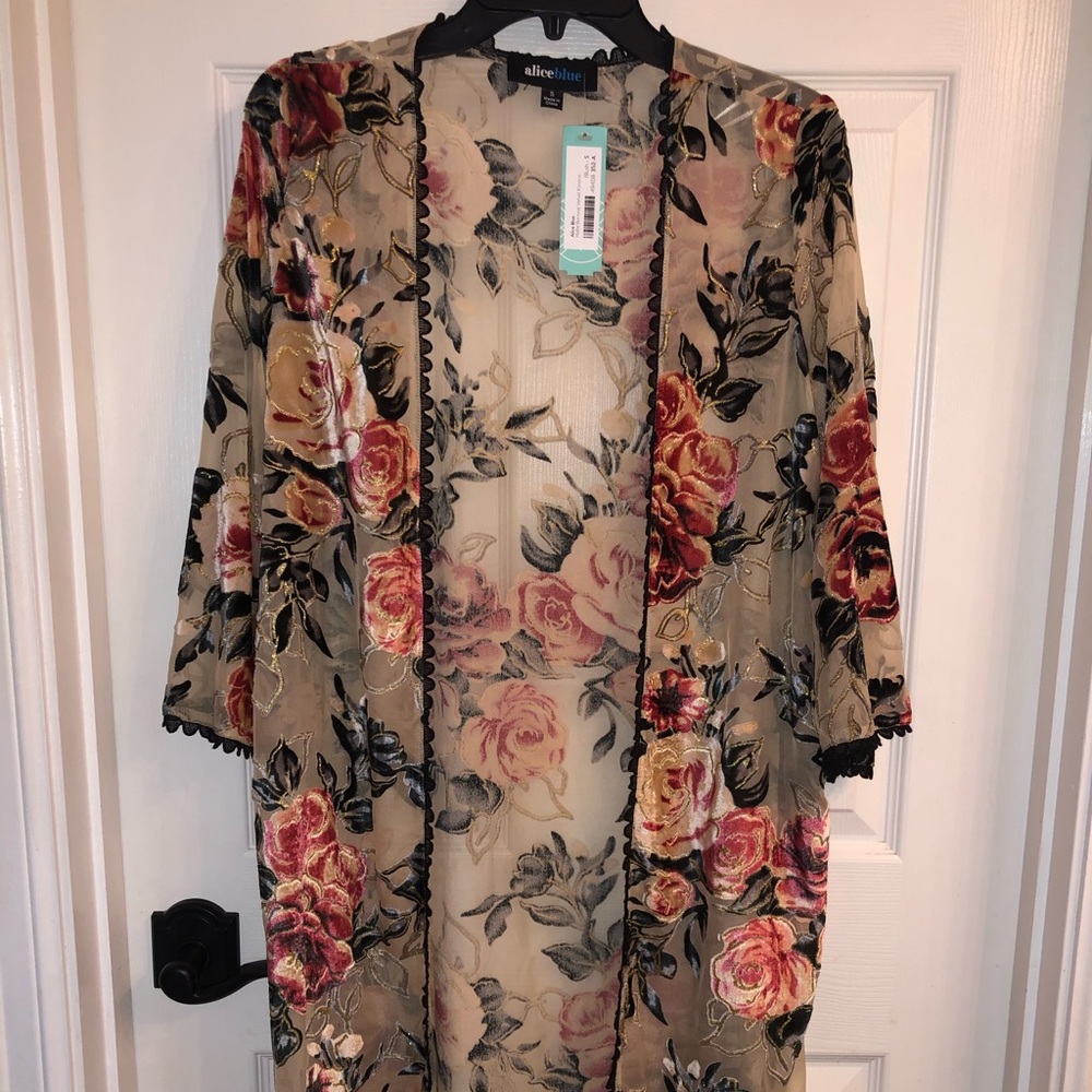 Alice Blue “halie” burnout velvet kimono blush